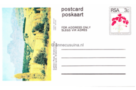 Zuid-Afrika Onbeschreven Poskaart / Postcard Cathkinpiek, Drakenberg / Cathkin Peak, Drakenberg in plastic beschermhoesje
