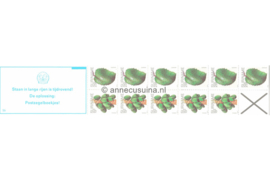 Republiek Suriname Zonnebloem PB 5bp Postfris Postzegelboekje 5 x 15 ct + 6 x 25 ct en grijs andreaskruis en met tekst 1979