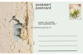 Zuid-Afrika Onbeschreven Poskaart / Postcard Eland in plastic beschermhoesje