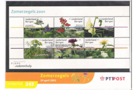 Nederland NVPH M245 (PZM245) Postfris Postzegelmapje Blok Zomerzegels 2001