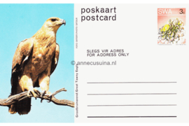 Zuid-Afrika Onbeschreven Poskaart / Postcard Grootbruinarend / Great Tawny Eagle in plastic beschermhoesje