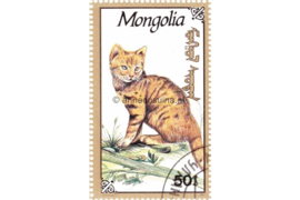 Mongolië Michel 2331 Gestempeld Katten 1991