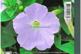 Nederland NVPH PR15 Postfris Prestigeboekje Bloemetjescadeau 2007