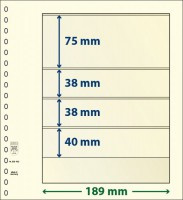 Lindner T-Blanco blad met 4 stroken (Lindner 802403P) (per 10 stuks)