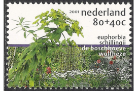 Nederland NVPH 1973d Postfris (Zegels afkomstig uit blok) (80+40 cent) Zomerzegels 2001