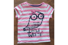T-shirt korte mouw roze/wit gestreept met blauwe opdruk