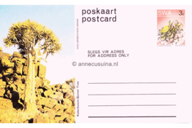 Zuid-Afrika Onbeschreven Poskaart / Postcard Kokerboom / Quiver Tree in plastic beschermhoesje