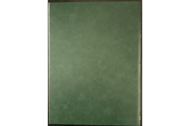 Gebruikt / Zeer Nette Staat Groen Patento 555 Insteekboek 16 Witte Bladzijden / 10 Pergamijn Stroken / Dubbele Pergamijn tussenbladen