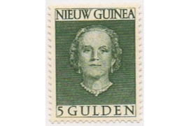 Nederlands Nieuw Guinea