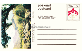 Zuid-Afrika Onbeschreven Poskaart / Postcard Cathedralpiek, Drakenberg / Cathedral Peak, Drakenberg in plastic beschermhoesje