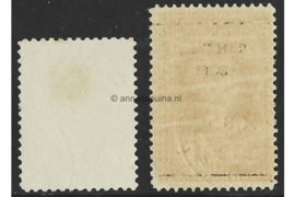 Nederland NVPH 104-105 Gestempeld FOTOLEVERING Opruimingsuitgifte 1920