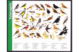 Onbeschreven Hello Cards Tuinvogels (2737576)