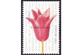 Nederland NVPH BZ2 Gestempeld Tulp, rood 2000