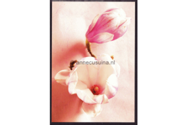 Nederland Ansichtkaart nr. 2 "Magnolia Soulangeana" behorende bij NVPH 2751-B-2 Geschenk velletjes (Persoonlijke Postzegels) Velletje PostNL Collect Club Beleef de seizoenen, lente 2011