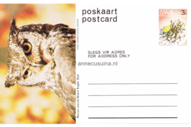 Zuid-Afrika Onbeschreven Poskaart / Postcard Reuse-ooruil / Giant Eagle Owl in plastic beschermhoesje