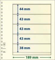 Hagelnieuw & Afgeprijsd! Lindner T-Blanco blad met 5 stroken (Lindner 802512p5) (per 5 stuks)