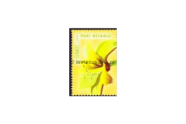 Nederland NVPH BZ23 Gestempeld Lelie, geel (TNT Post) 2007