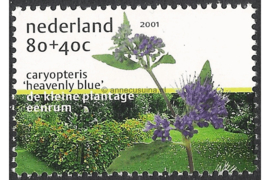 Nederland NVPH 1973a Postfris (Zegels afkomstig uit blok) (80+40 cent) Zomerzegels 2001