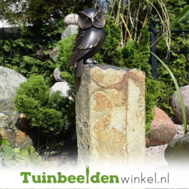 Beeld uil ''Bronzen uil'' TBW37234