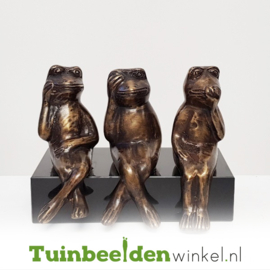 Tuinbeeld kikker ''Horen Zien en Zwijgen'' TBW008br03