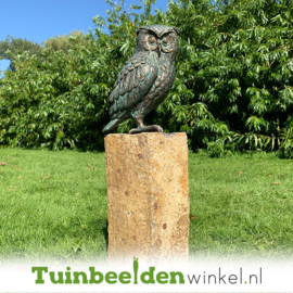 Beeld uil ''bronzen steenuil'' TBWR89002