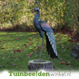 Metalen tuinbeeld figuur ''De elegante pauw'' TBW18212
