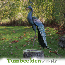 Metalen tuinbeeld ''De elegante pauw'' TBW18212