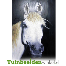 Olieverf schilderij dieren ''Het witte paard'' TBW001814