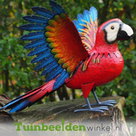 Metalen tuinbeeld figuur ''Indrukwekkende papegaai'' TBW18703