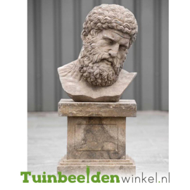 Borstbeeld "De wijze man" op sokkel TWB3br319br