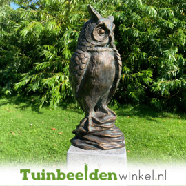 Beeld uil ''bronzen uil'' TBWR88319