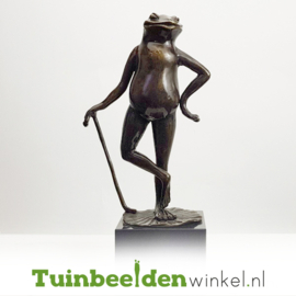 Tuinbeeld kikker ''Deftige kikker'' TBW1726