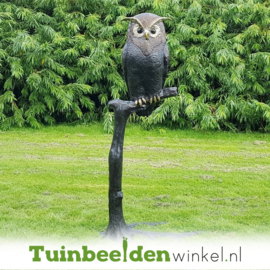 Beeld uil ''bronzen uil op tak'' TBW57490