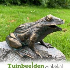 Tuinbeeld kikker ''Kikker brons'' TBW90110