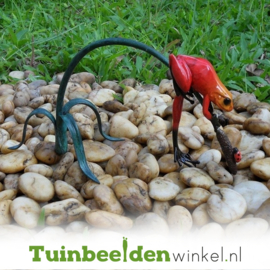 Tuinbeeld kikker ''Rode regenwoudkikker'' TBW0989BR