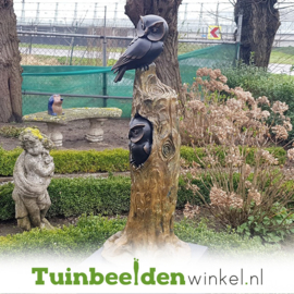 Beeld uil ''Bronzen uilenboom met twee uilen'' TBW37230