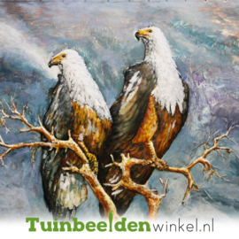 NR 1 | Metalen schilderij "De 2 verliefde havikken" TBW002093