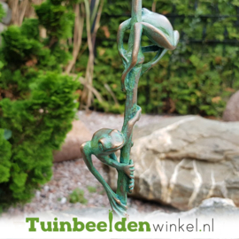 Tuinbeeld kikker ''Kikkers op rietstengel'' TBW37284
