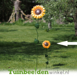 Tuinsteker bloem ''Kleine zonnebloem'' Tbw16203br