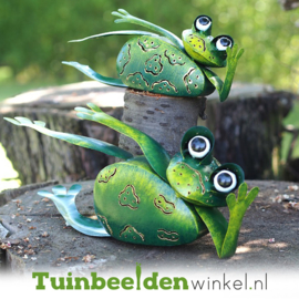 Metalen kikkers ''De chillende kikkers'' TBW16115-16