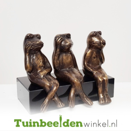 Tuinbeeld kikker ''Horen Zien en Zwijgen'' TBW008br03