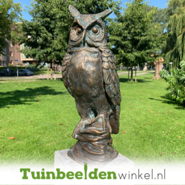 Beeld uil ''bronzen uil'' TBWR88319