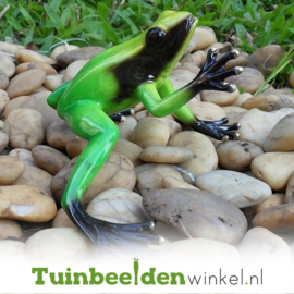 Tuinbeeld kikker ''Groene regenwoudkikker'' TBW0985BR