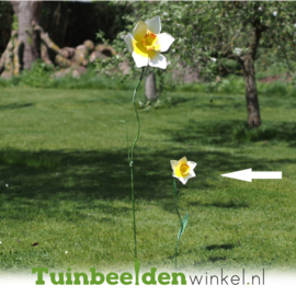 Tuinsteker bloem ''Kleine narcis'' Tbw16205br