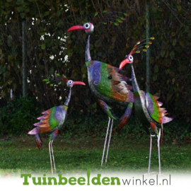 Metalen tuinbeeld figuur "De buitengewone vogel klein" TBW16038 + 16016me