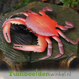 Metalen tuinbeeld figuur ''King Crab'' TBW16123