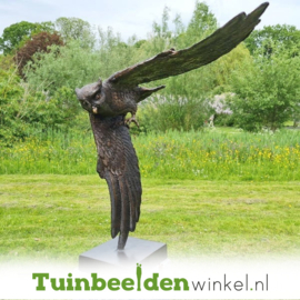 Beeld uil ''bronzen vliegende uil'' TBW1321br