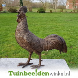 Bronzen beeld haan TBW0484br