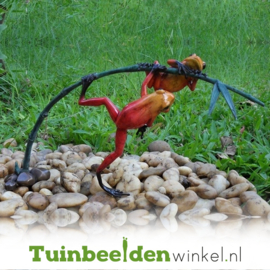 Tuinbeeld kikker ''Rode regenwoudkikkers'' TBW0982BR