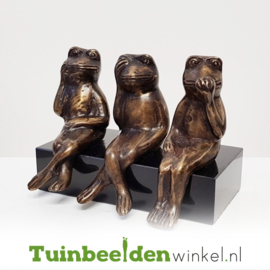 Tuinbeeld kikker ''Horen Zien en Zwijgen'' TBW008br03